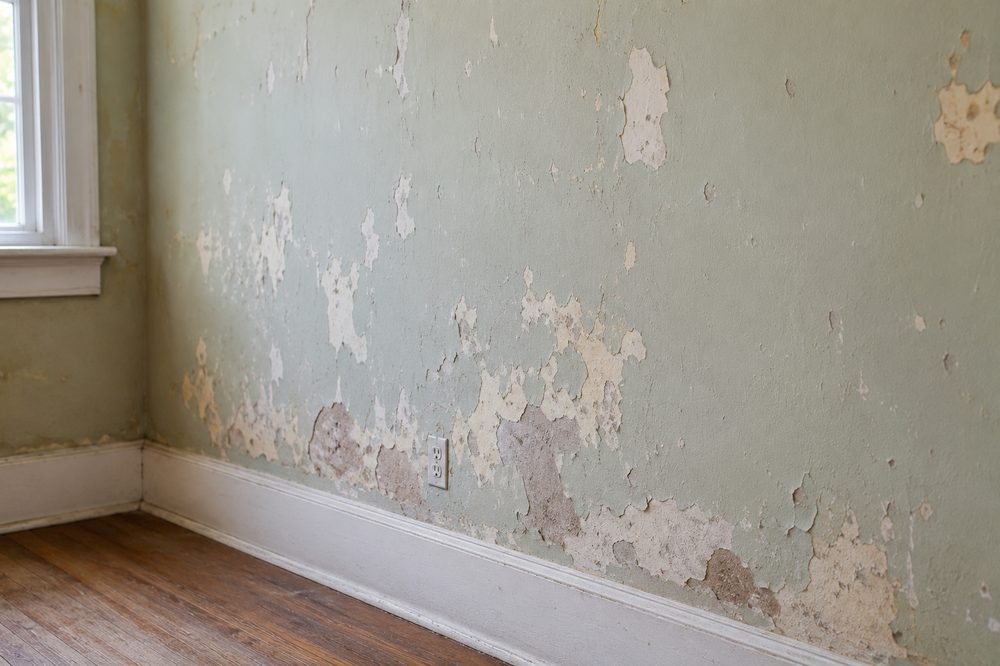 Pintura descascarada en una habitación, antes de repintar